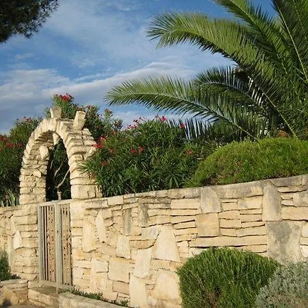 Necujam 13884a